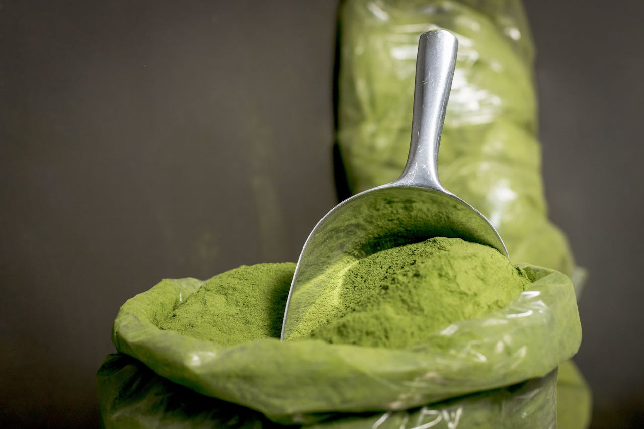 services-04 Close-up of fresh moringa powder in a stainless steel scoop, highlighting its vibrant green color.
